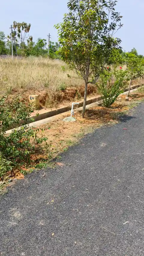 Open Plots for Sale in Korada Village with greenery and road view