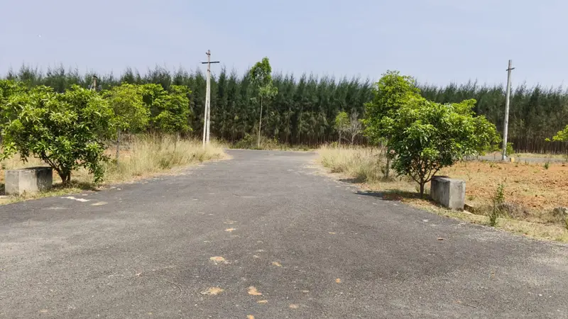 Wide blacktop roads in Sai Green City Open Plots