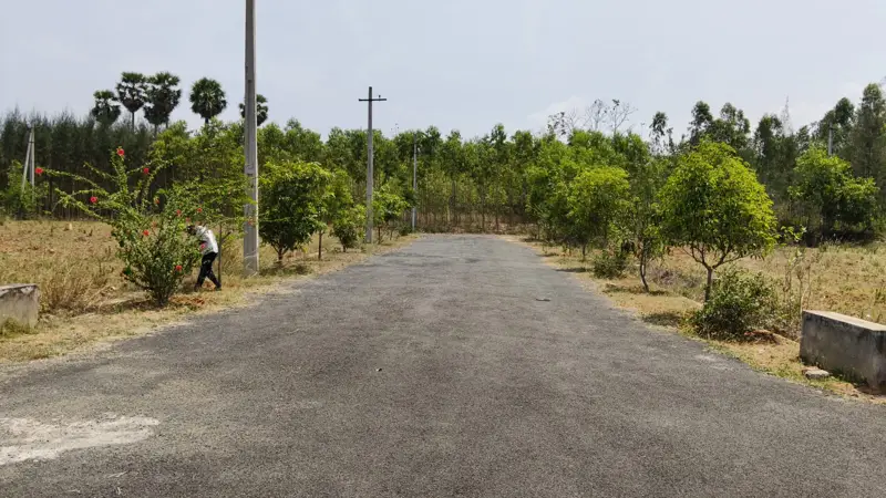 Open Plots with drainage and water facility