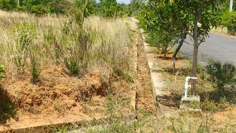 Residential Open Plots for Sale with trees and infrastructure