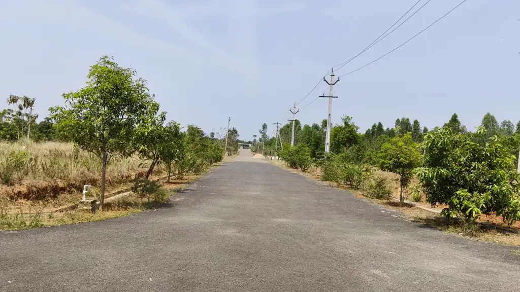 40 feet blacktop road inside Sai Green City open plots for sale project with greenery and infrastructure