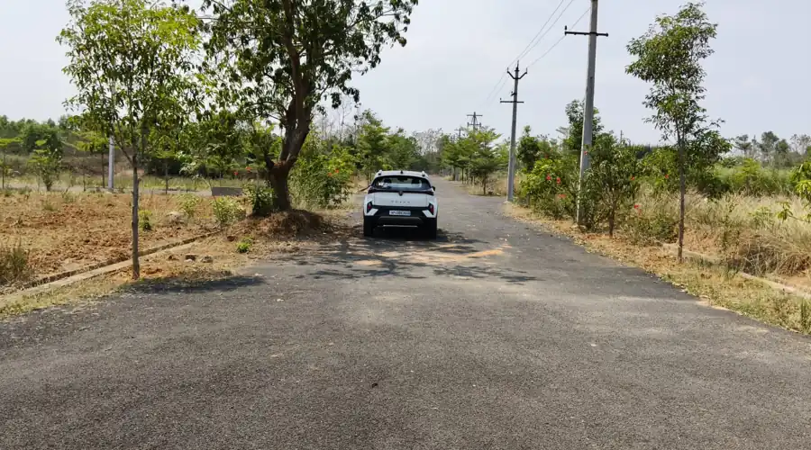 Internal road with greenery and plantation in Sai Green City open plots for sale project