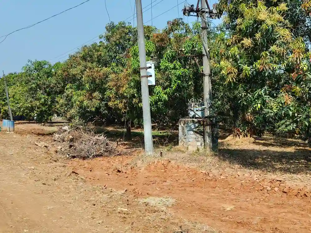 Open Plots with Electricity and Mango Gardens